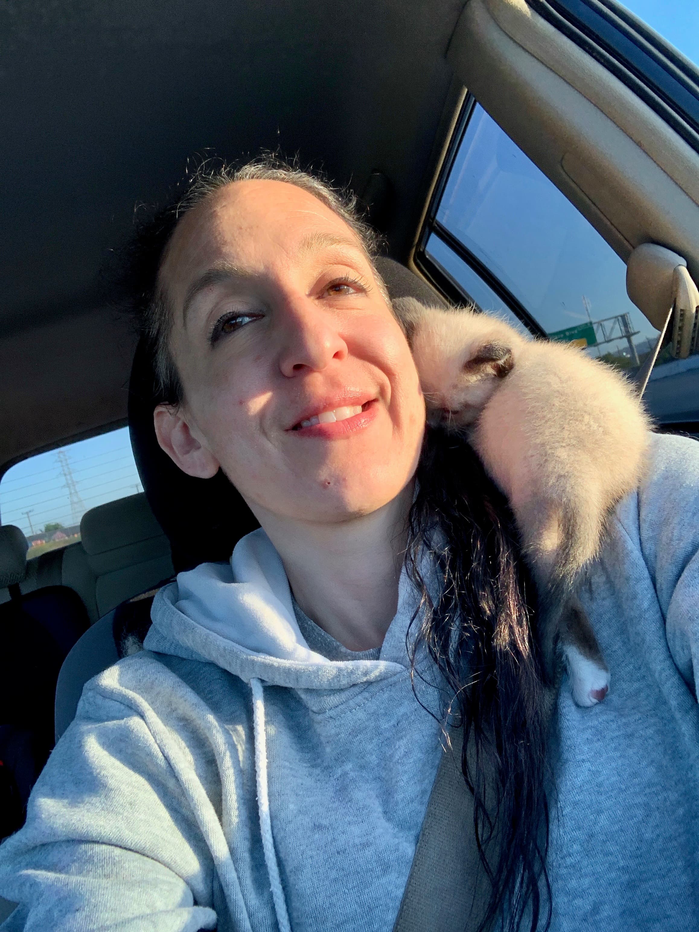 Courtney from Animal Angel Services with a rescued kitten